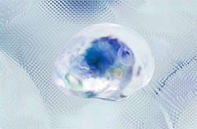 神经科学研究方向